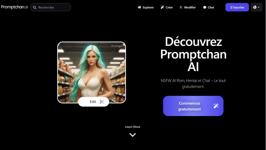 Read more about the article Promptchan Ai