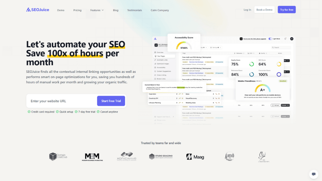 Read more about the article SEOJuice